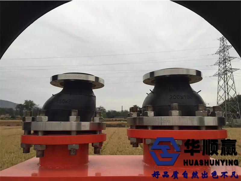偏心異徑橡膠接頭現(xiàn)場(chǎng)圖